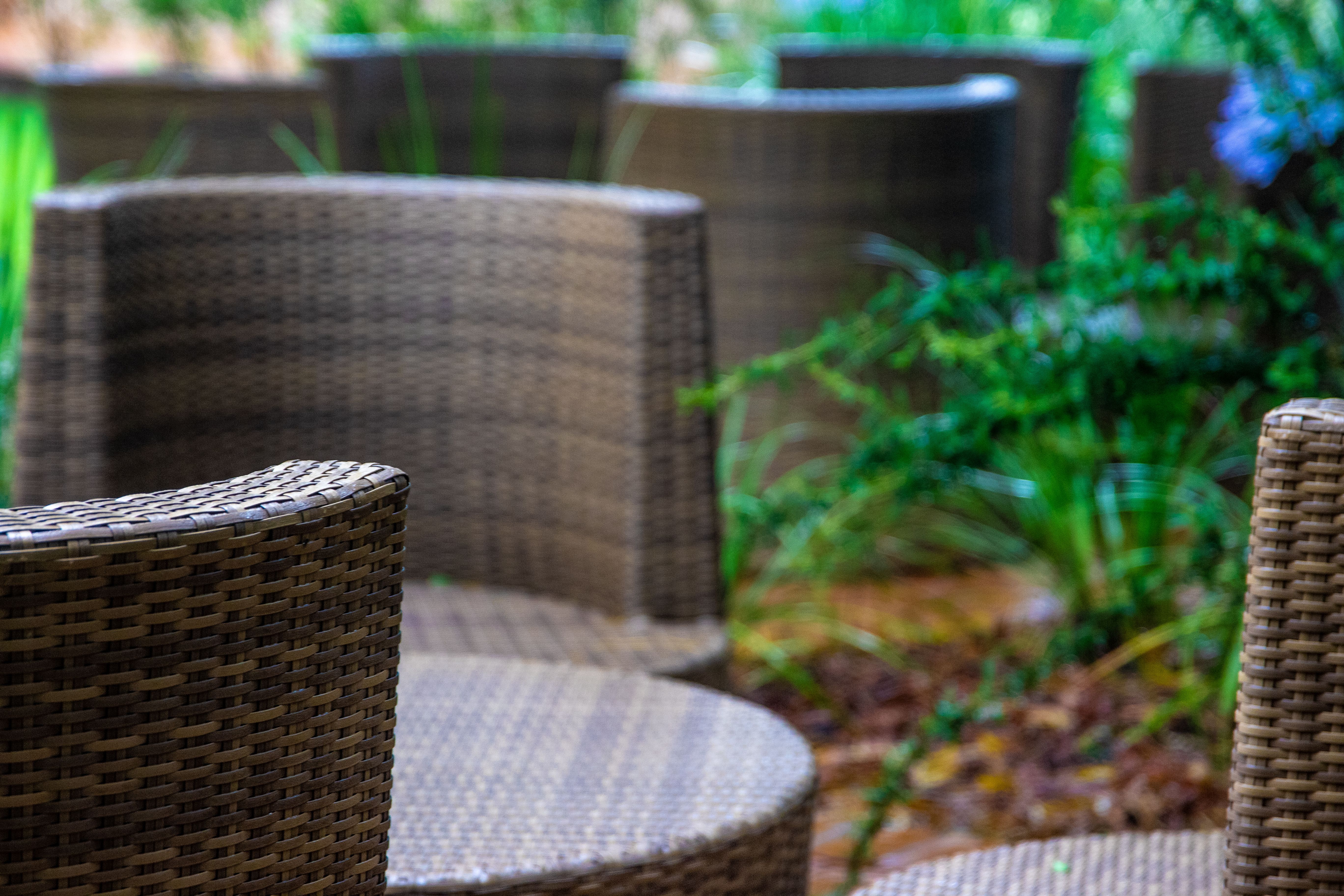 Close-up of woven wicker chairs in a tranquil garden